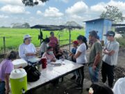 Zulia activa vacunación contra fiebre amarilla en municipios fronterizos del estado