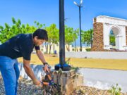 Más de 40 plazas reciben mantenimiento de sedepar