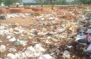 Cuadrillas nocturnas del IMA sanearon espacios de Altos del Sol Amada y Lago Azul