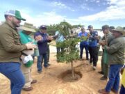 Maracaibo impulsa una nueva ordenanza para fortalecer la arborización urbana con enfoque ambiental
