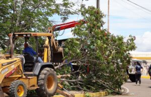 Alcaldía de Maracaibo desplegó 20 nuevos contenedores en sitios estratégicos de la ciudad