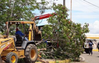 Alcaldía de Maracaibo desplegó 20 nuevos contenedores en sitios estratégicos de la ciudad