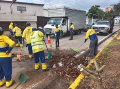 IMA ha recogido 40 árboles caídos tras el paso de la onda tropical que azotó la ciudad
