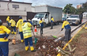 IMA ha recogido 40 árboles caídos tras el paso de la onda tropical que azotó la ciudad