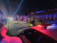 Incidencias menores en cañadas de Maracaibo y 8 árboles caídos
