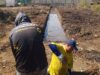 Realizan jornada integral de saneamiento en la Cañada Cacaito, parroquia Cristo de Aranza
