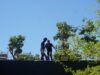 Bomberos y Alcaldía de San Francisco brindan atención a las afectaciones por árboles caídos tras fuertes vientos
