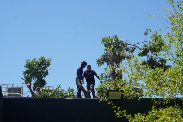 IMG-20261005-WA0090