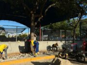 Alcaldía de Maracaibo sustituye colectores en la Plaza Astolfo Romero