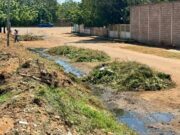 Imasur mantiene jornada de limpieza y saneamiento en cañada del barrio «El Paraíso»